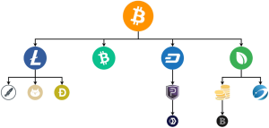 Forks Of Bitcoin Schematic Representation Of Bitcoin Forking Tree Each Time A New