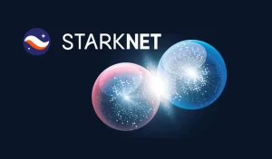 What-Is-Starknet
