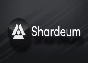 What Is Shardeum (Shm)