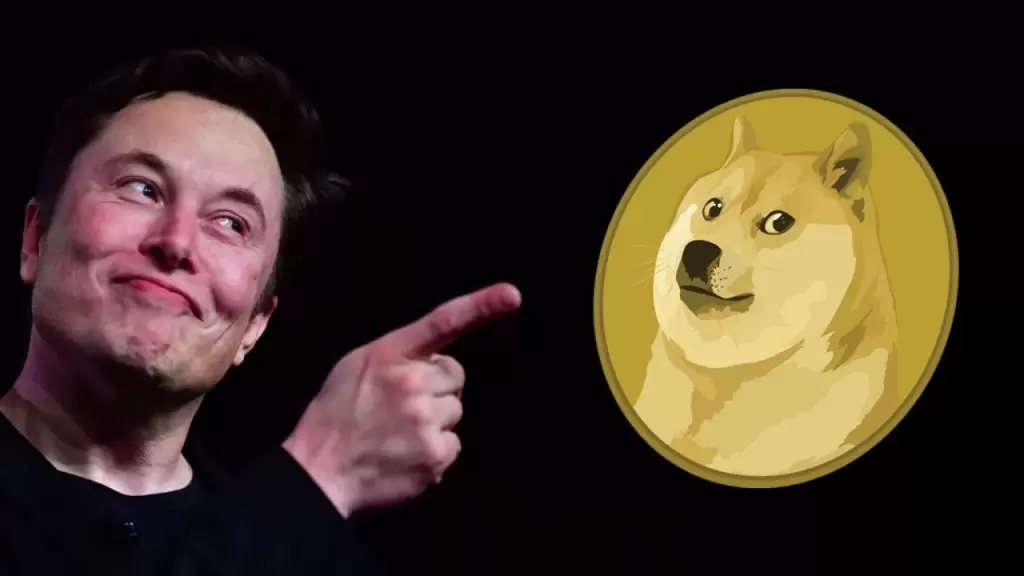 Elon Musk Dogecoin Aciklamasi