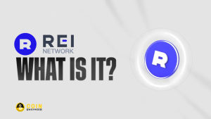 What Is Rei Network