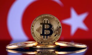 Turkish People Crypto Investors