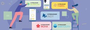 What Is Hyperledger 1