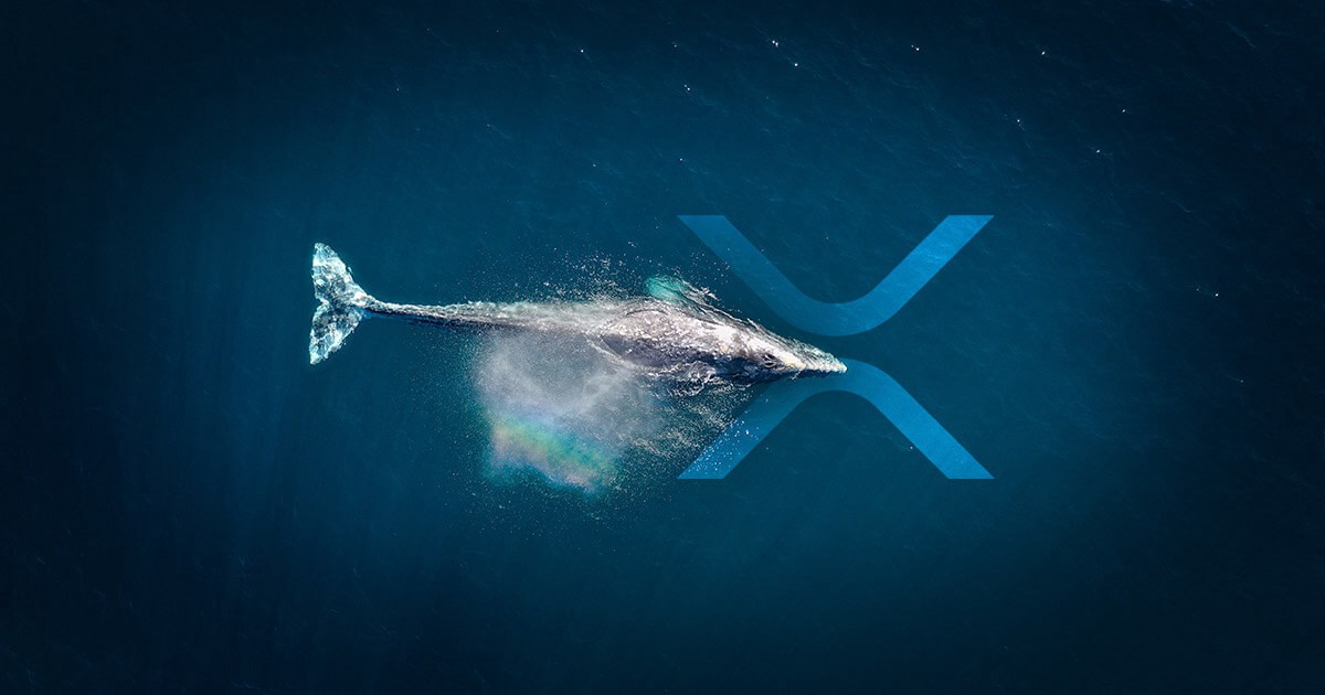 Xrp Whale Alert