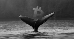 What Does Mean Movements Of Whales? Is It Sign For A Bull Run?