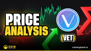 Vet Price Analysis
