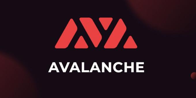 Avalanche And Gunzilla Partnership