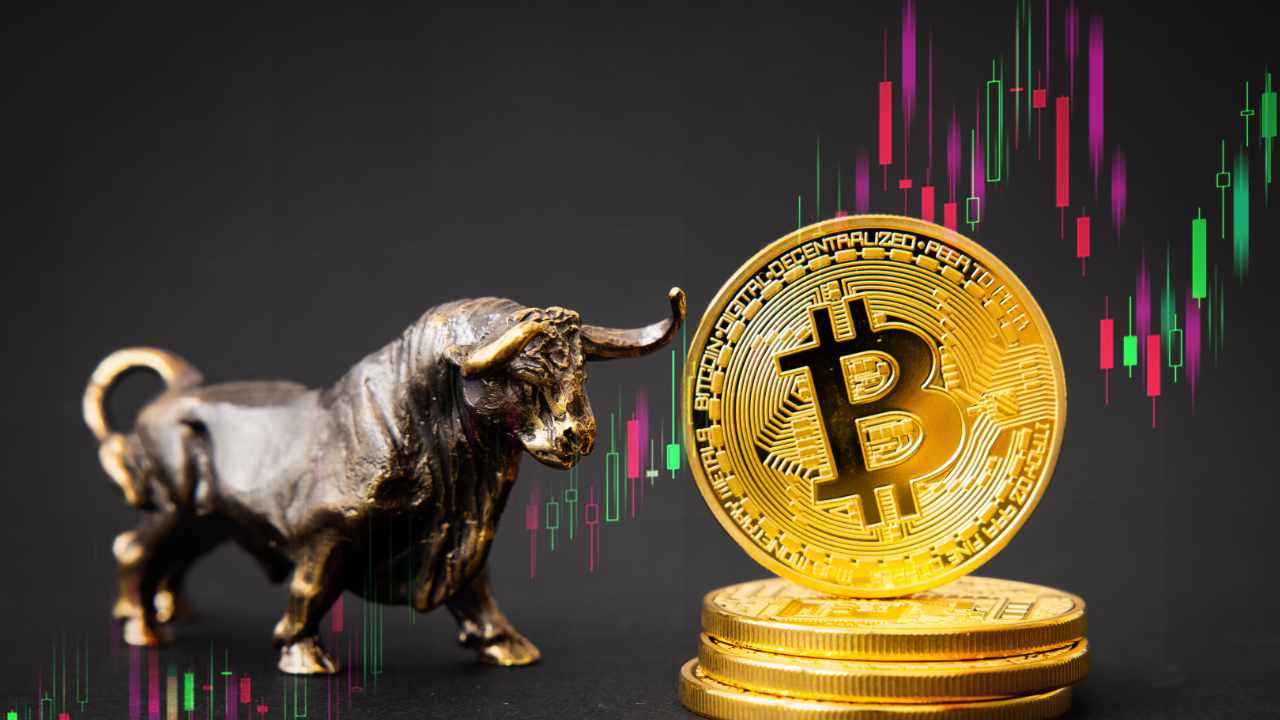 Crypto Market, Crypto, Bull