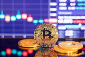 Bitcoin Exchange Reserve, Bitcoin